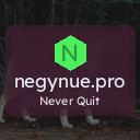 negynue.pro
